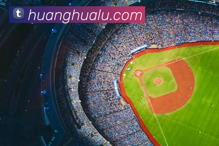 kaiyun网址APP 封面图